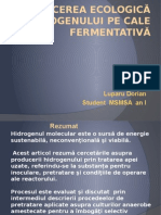 Producerea Ecologică A Hidrogenului Pe Cale Fermentativă