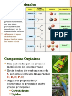 CARBOHIDRATOS.ppt