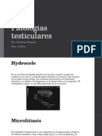 Patologias Testiculares