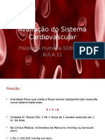 Aula 11 Fisiologia