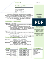 Curriculum Vitae Modelo4b Verde