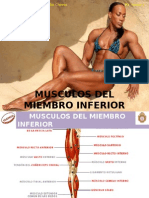 Músculos Del Miembro Inferior