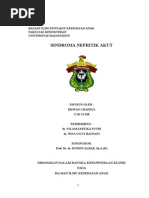 Download Sindroma Nefritik Akut  by Andi Dewi Pratiwi SN288675226 doc pdf