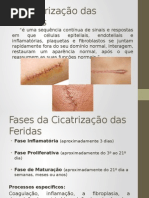 Tipos de Cicatrização 