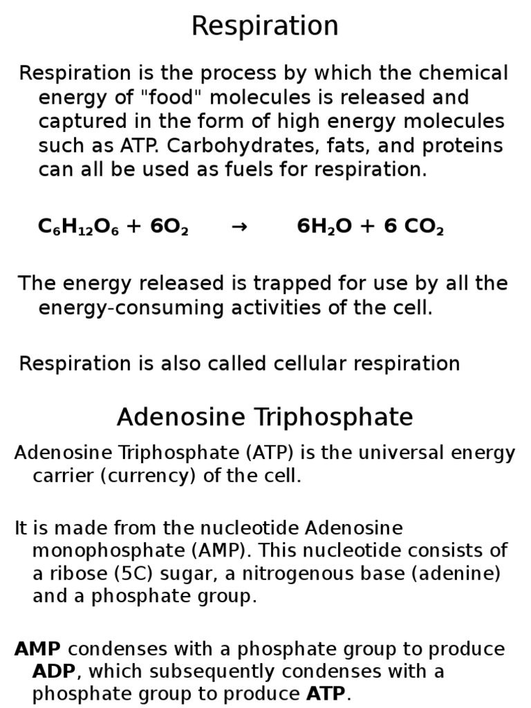 Cellular Respiration | PDF | Cellular Respiration | Adenosine Triphosphate