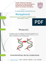 Mutagenesis