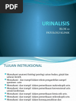 Download URINALISIS 2010 revisi by mzdan SN28869918 doc pdf