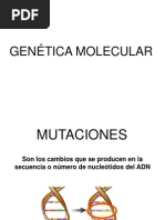 Genetica Molecular