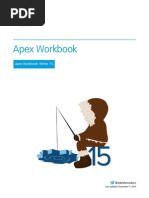 Apex Workbook