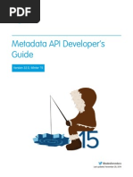 API Metadata Guide