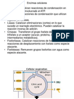 PDF Clase Palomares TCA