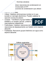 ppt Clase Palomares TCA