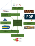 Mapa Mental Lectura 6