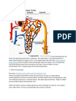 3 Proses Pembentukan Urine