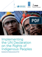 Rights of Indigenous Peoples