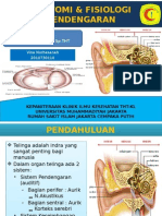 Anatomi Pendengaran