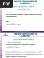 Aula_3_-_Tipos_Microrganismos