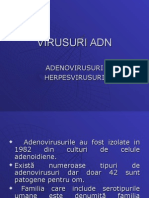 Adenovirus Uri