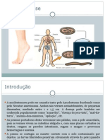 Ancilostomíase: verme causador de anemia