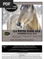Download Clovis Horse Sales Winter 2015 by Clovis Livestock Auction SN288784775 doc pdf