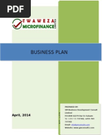 A Detailed Sample Micro Lending Business Plan Template | PDF | Small ...