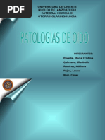 Download TEMA IX ORL by Jose Leonardo Hernandez Acua SN28881433 doc pdf