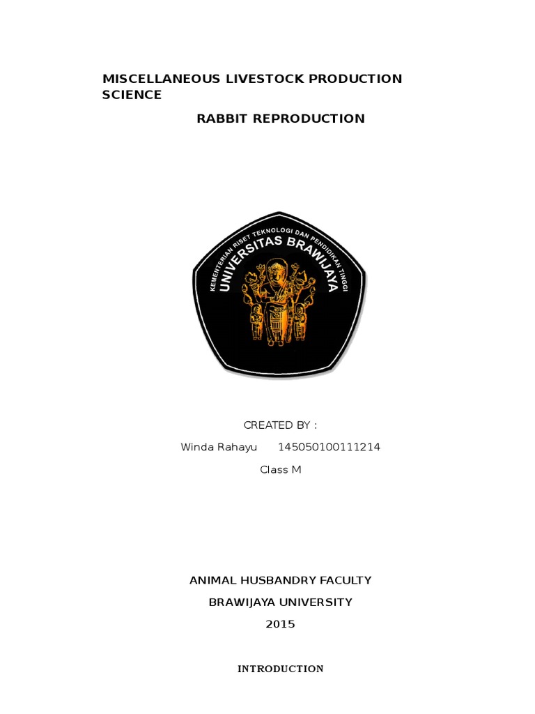 Rabbit Reproduction in Animal Husbandry | PDF | Testicle | Sexual ...