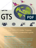 The Best SAP GTS Online training by real time IT industrial experts