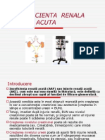 Insuficienta Renala Acuta 2015