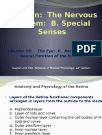 Retina Anatomy and Physiology Guide