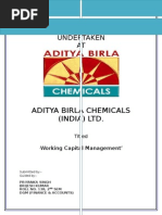 aditya birla