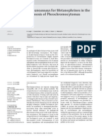 The Value of Immunoassays for Metanephrines in the Biochemical Diagnosis of Pheochromocytomas