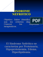 Sindrome Nefrotico y Nefritico 1208718419969943 9