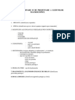 Plan de Examinare Si de Prezentare a Leziunilor Macroscopice