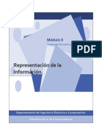 Representación de La Información PDF