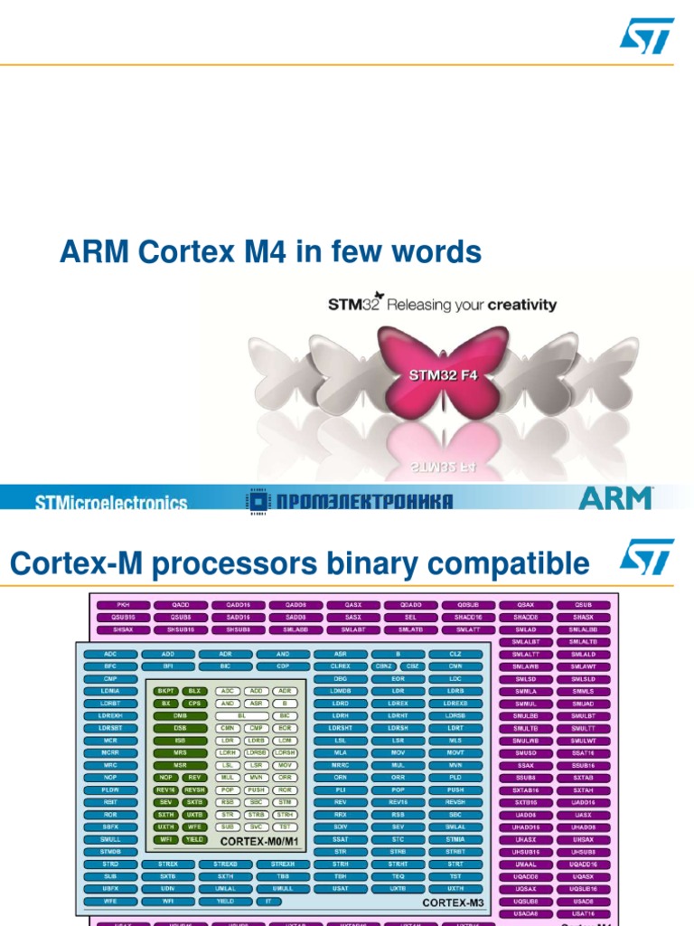 ARM CortexM4 PDF Arm Architecture Instruction Set