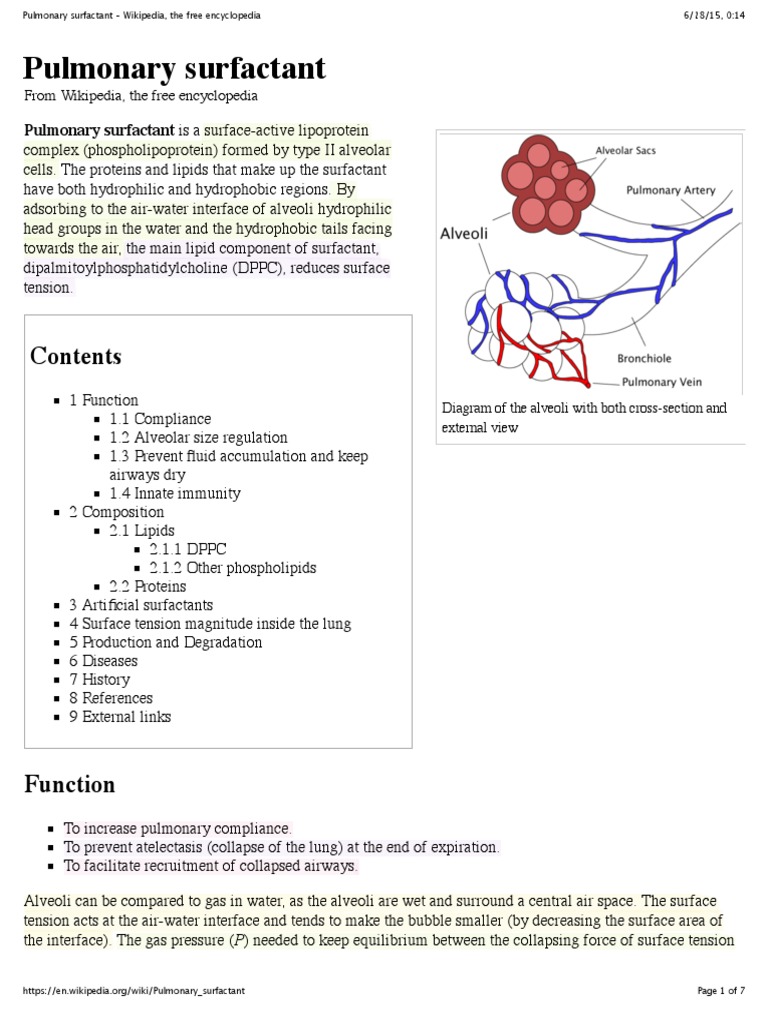 Wikipedia Pulmonary Surfactant (CHECKED) Respiratory System Cell Biology