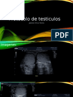 protocolo de testiculos