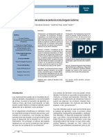 Denticion Mixta PDF