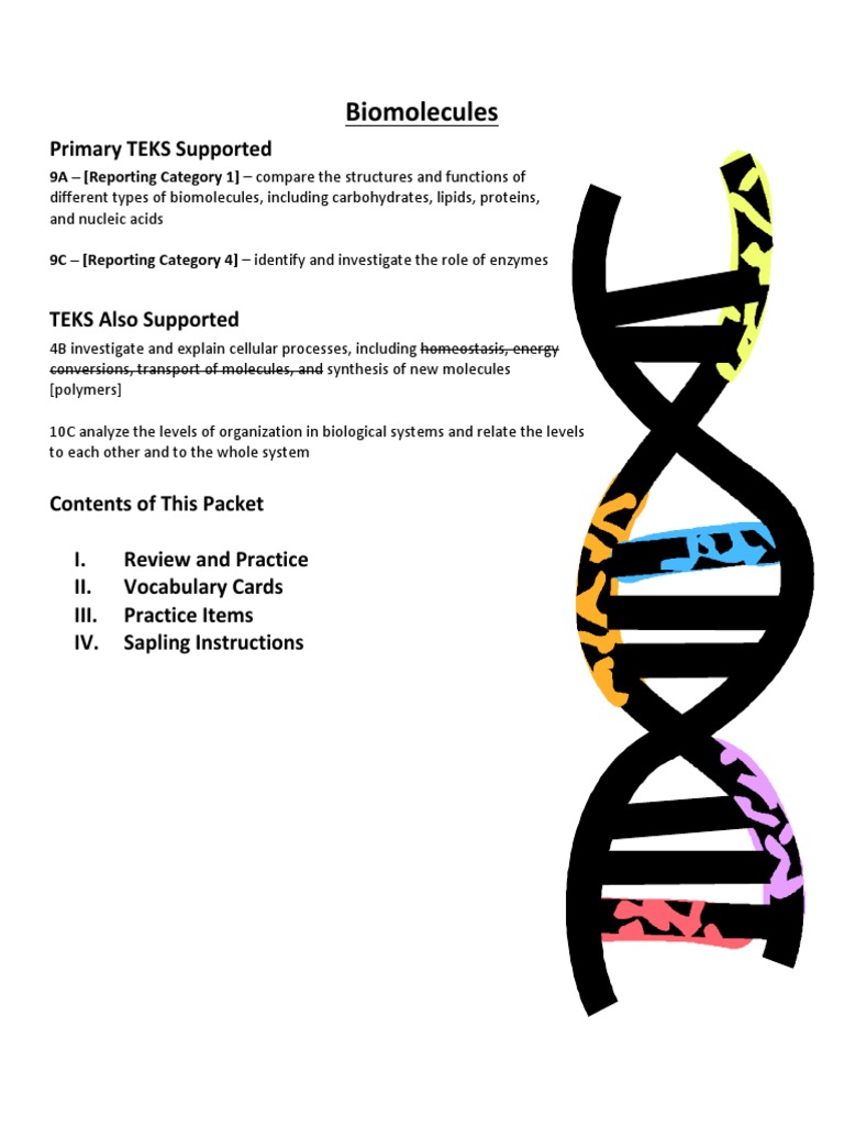 Understanding Biomolecules and Enzymes | PDF | Science & Mathematics