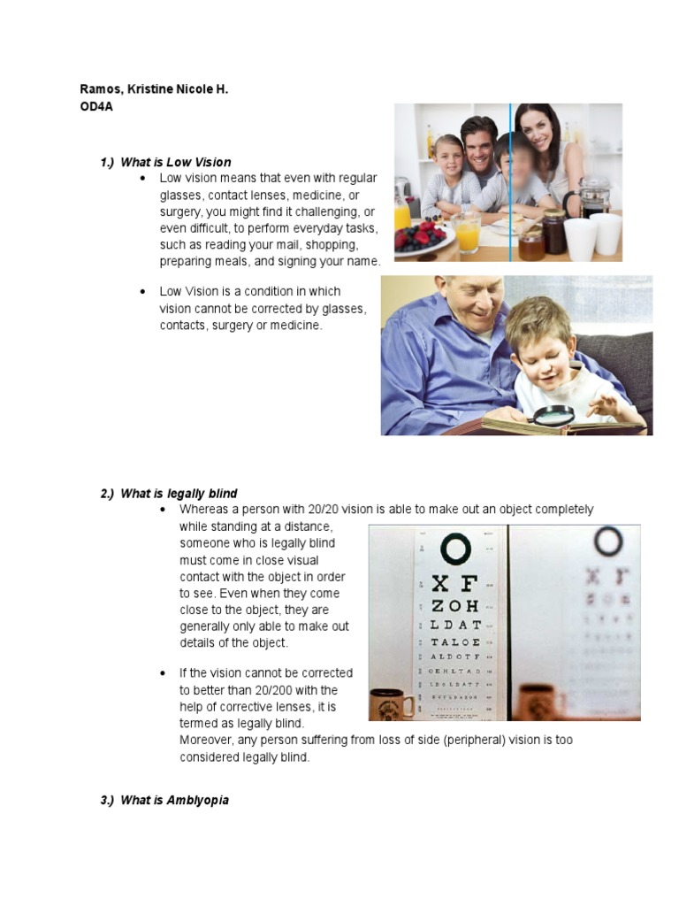 Understanding Low Vision and Blindness | PDF