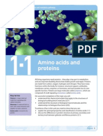 Topic Guide 1.1 Amino Acids and Proteins