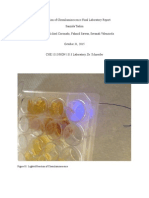 Investigation of Chemiluminescence Light Ratios