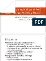 Libertad Sindical en El Perú