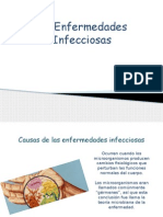 Anatomia Enfermedades Infecciosas