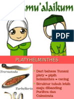 Platyhelminthes IPA