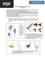 Adaptaciones de Los Seres Vivos