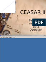 Ceasar Ii: Basic Input and Output Data Operation