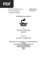 Download LAPSUS HORDEOLUM Wahyuni Renfaan by Yunii Tuckdear SN288934862 doc pdf