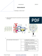 PQPI Autoavaluació 250310